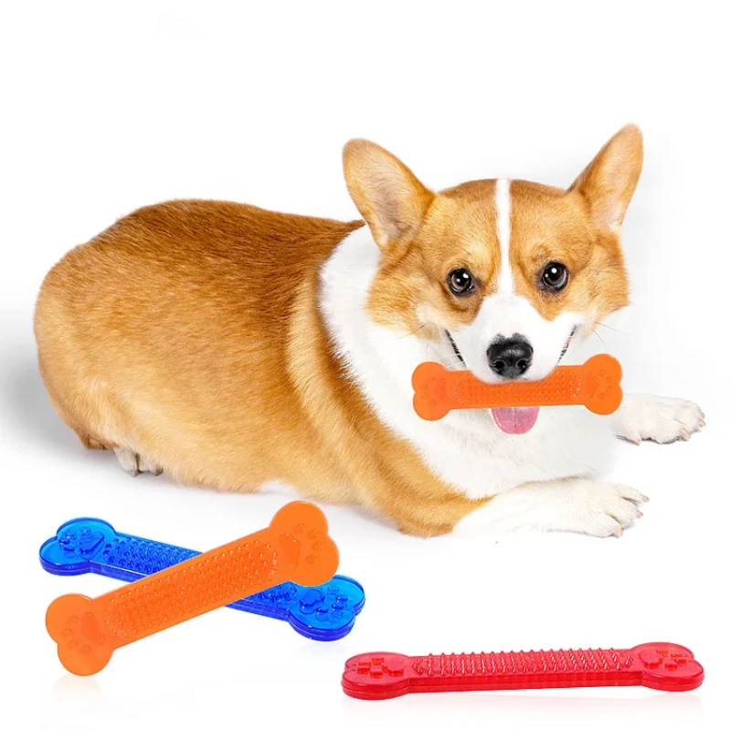 Jouet à mâcher en os de chien  - Training Clicker Dog avis et prix