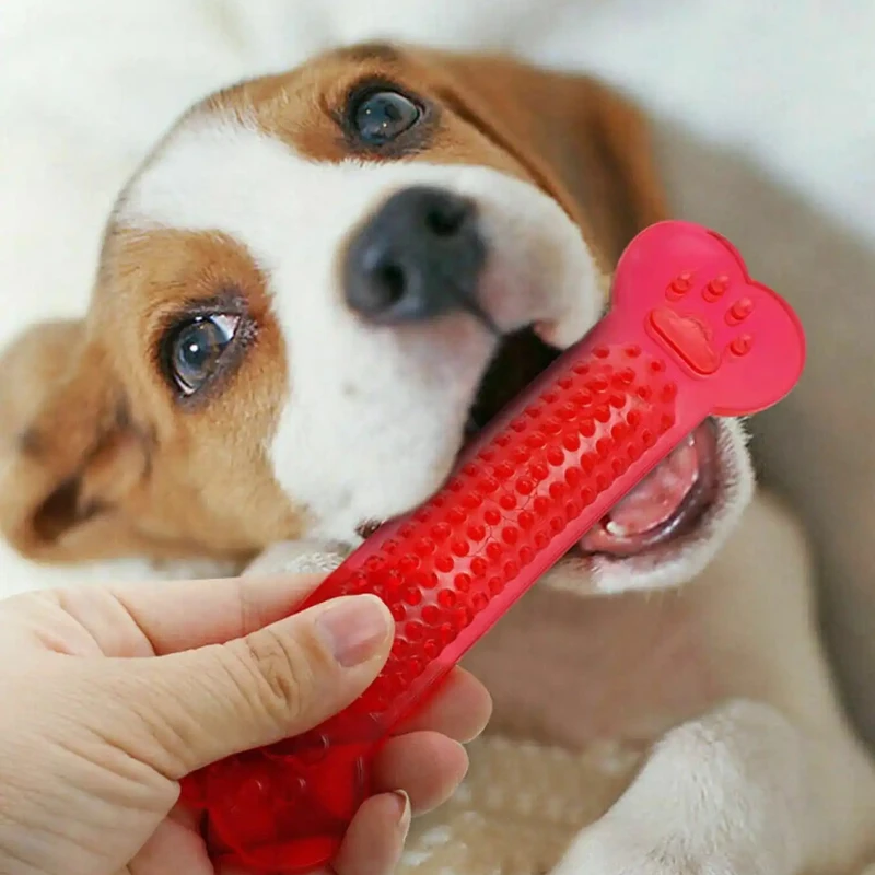 Jouet à mâcher en os de chien  - Training Clicker Dog avis et prix