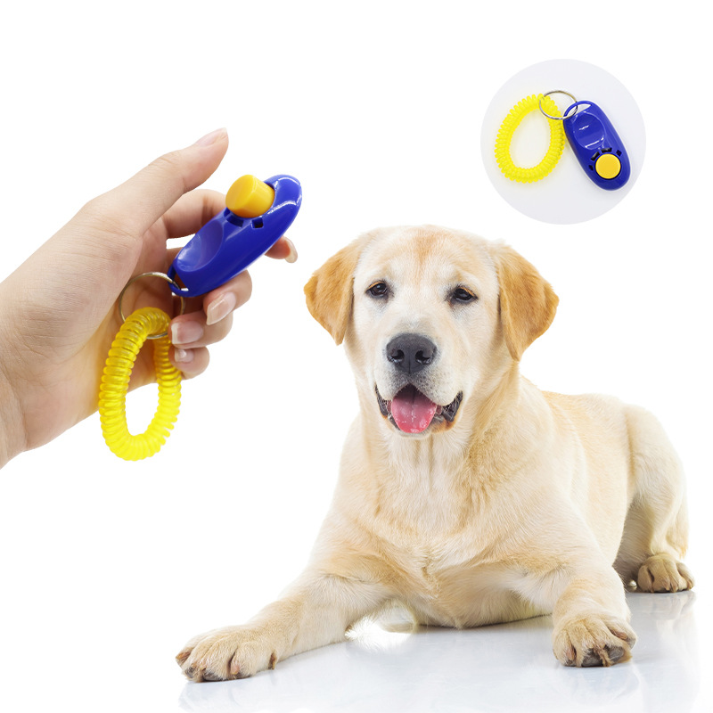 Cliqueur d'entraînement pour c - Training Clicker Dog avis et prix