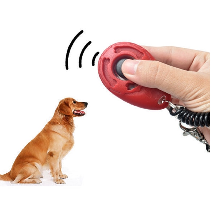 Clic-clac d'entraînement pour  - Training Clicker Dog avis et prix