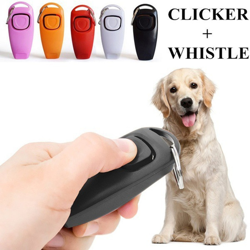 Cliqueur et sifflet d'entraîne - Training Clicker Dog avis et prix